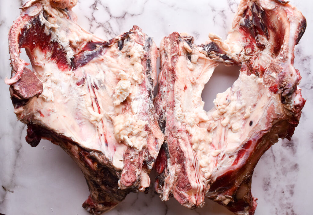 Pelvic beef bone